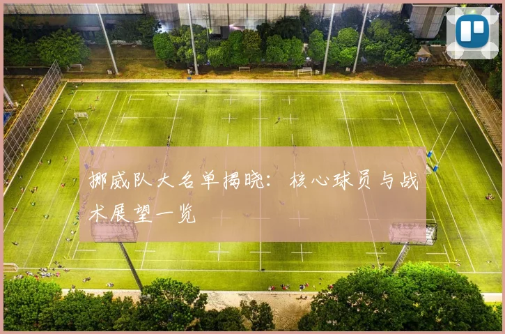 挪威队大名单揭晓：核心球员与战术展望一览